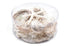pearl coral and shell pack